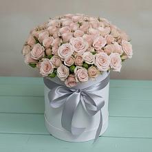 Цветочная композиция из Розы в шляпной коробке #REPLACE_PRED# Степаньково