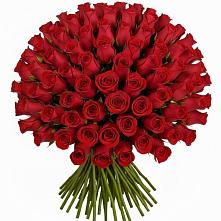 Букет Красные розы Чери Лав в Степаньково